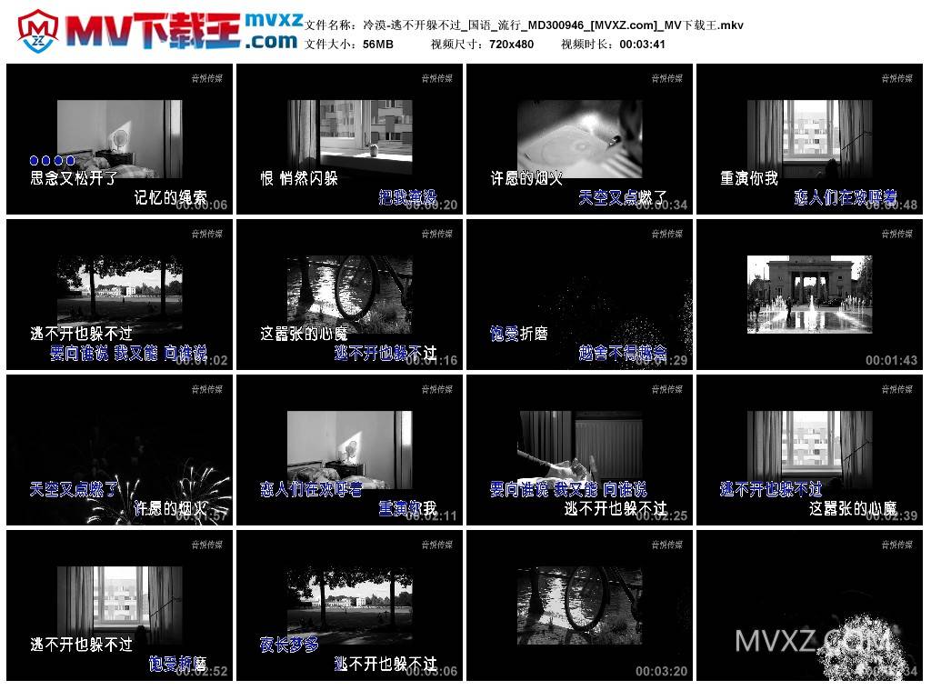 冷漠-逃不开躲不过_国语_流行_MD300946